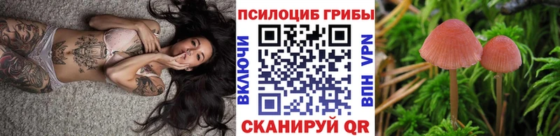 Псилоцибиновые грибы мицелий  Харабали 